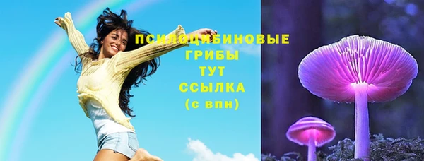 хмурый Белоозёрский