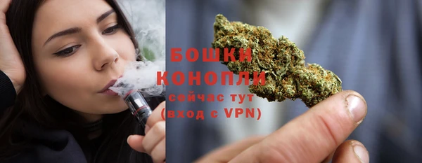 гашик Белокуриха