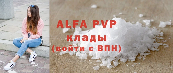 гашик Белокуриха