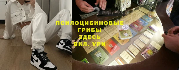 гашик Белокуриха