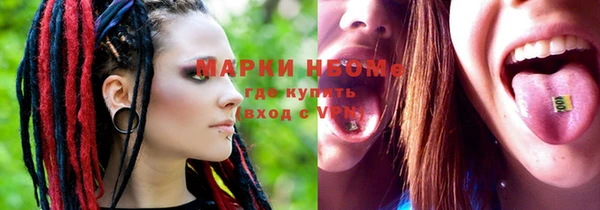 гашик Белокуриха