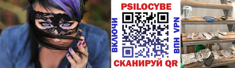 Галлюциногенные грибы Psilocybe где продают Полесск