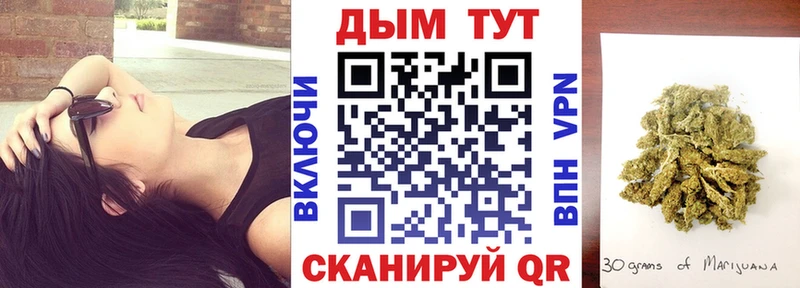 MEGA маркетплейс  Полесск  Каннабис планчик 